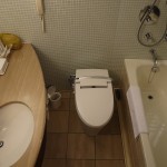 ANA CROWNE PLAZA OKINAWA HARBORVIEW Premium Double 15