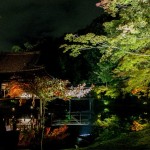 KODAIJI 201311 8