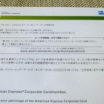 AMEX CORPORATE 201312 3