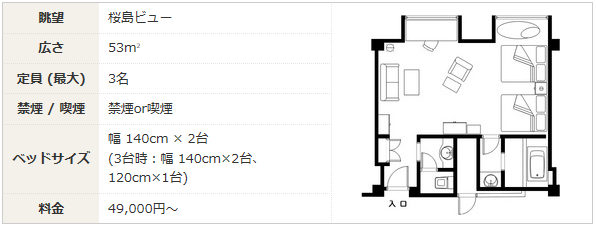 Executive Twin Floor Plan 1