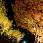 HYATT Regency Kyoto Deluxe Balcony King 201411 31