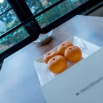 HYATT REGENCY HAKONE Deluxe Twin 201502 15