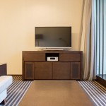 HYATT REGENCY HAKONE Deluxe Twin 201502 24