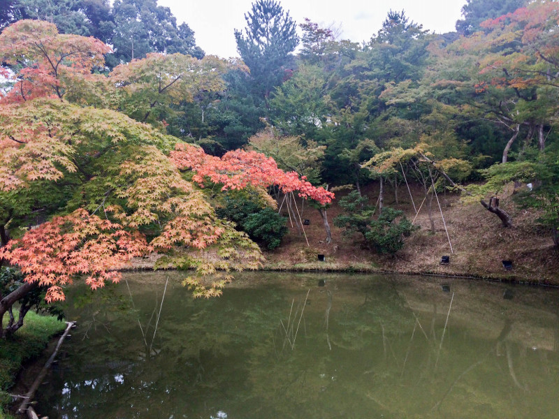 kodaiji 201709 4