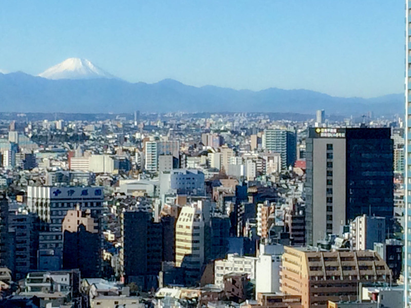 Hyatt Regency Tokyo 201512 32