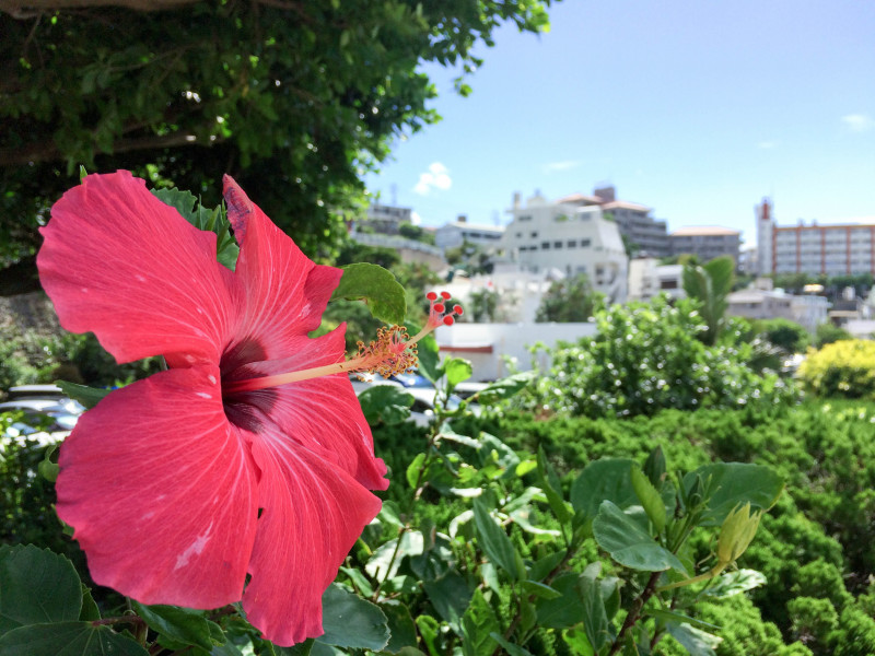 DoubleTree by Hilton Naha Shuri Castle 201609 5