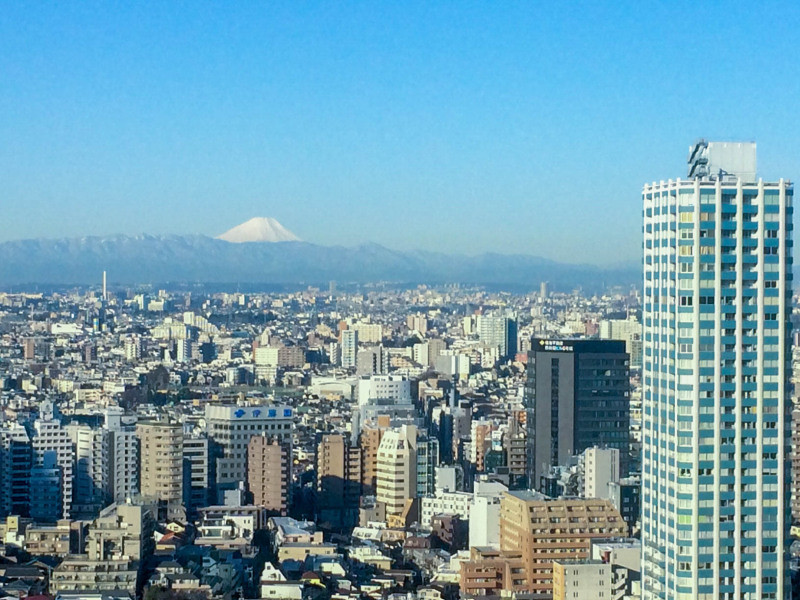 Hyatt Regency Tokyo 201602 14