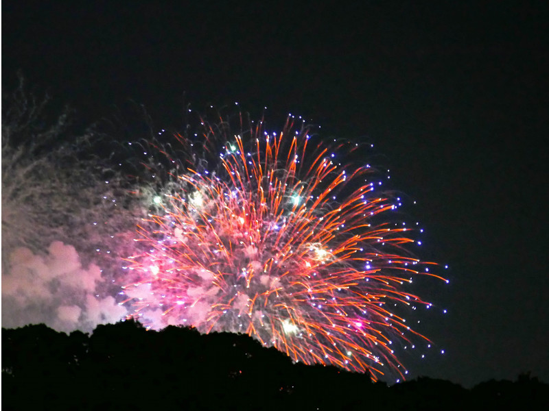 ohori hanabi 201708 3