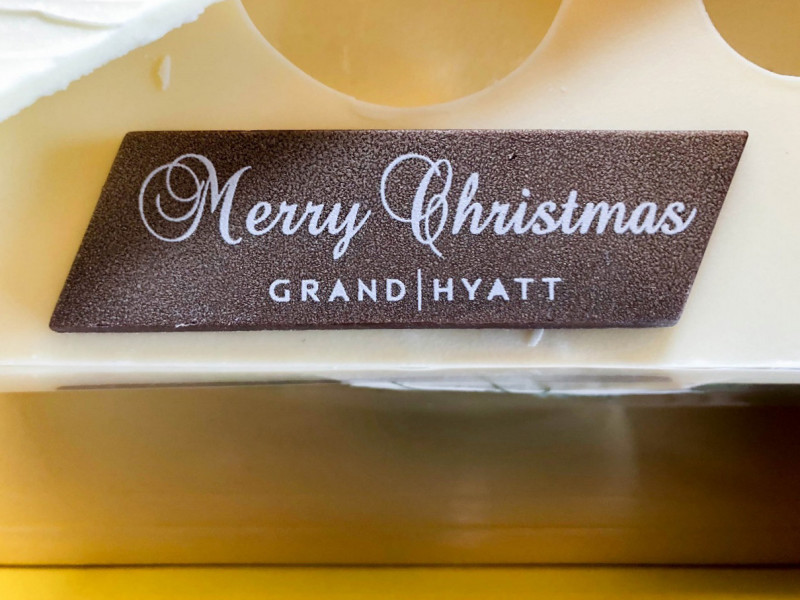 Grand Hyatt Fukuoka Cristmas Session 201712 1