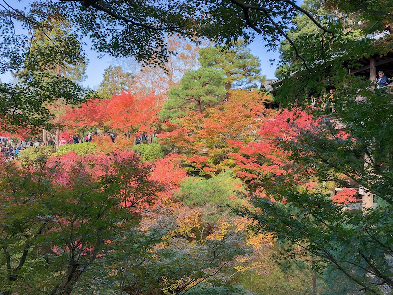 tofukuji 201811 3