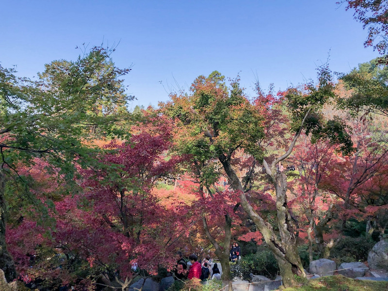 tofukuji 201811 1