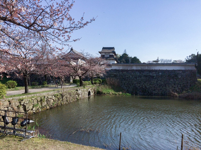 Maizuru Park 201603 1