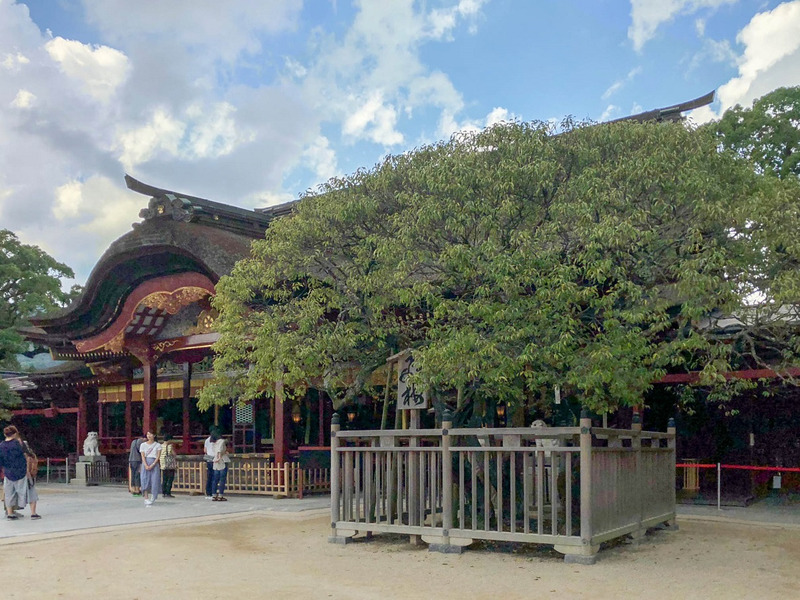 dazaifu tenmangu 201808 2