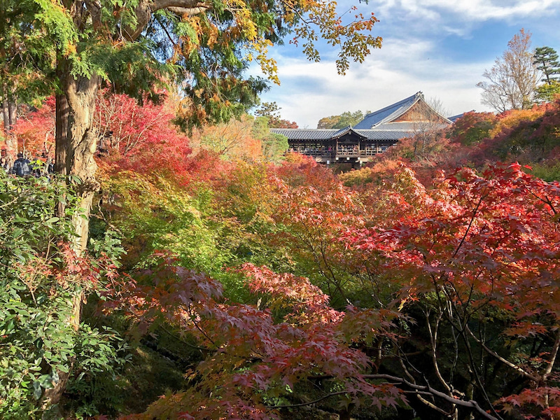 tofukuji 201811 5