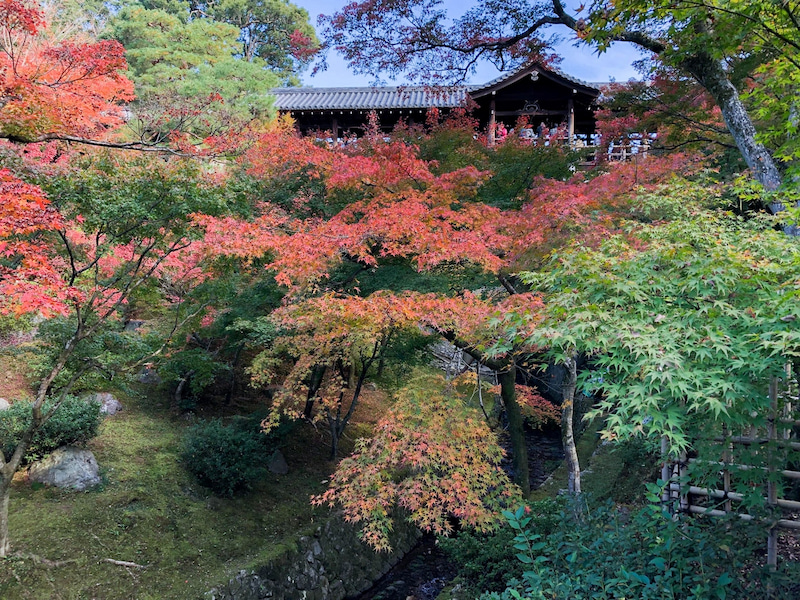 tofukuji 201811 2